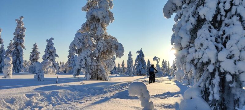 Saariselkä: Guided Fatbike Tour - What to Expect on Your Saariselkä Fatbike Adventure