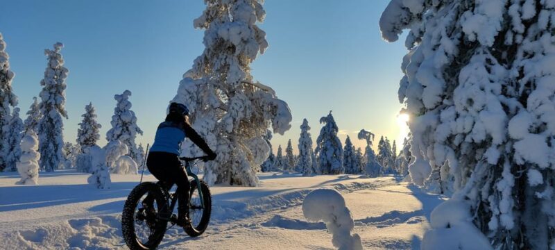 Saariselkä: Guided Fatbike Tour - Value and Suitability