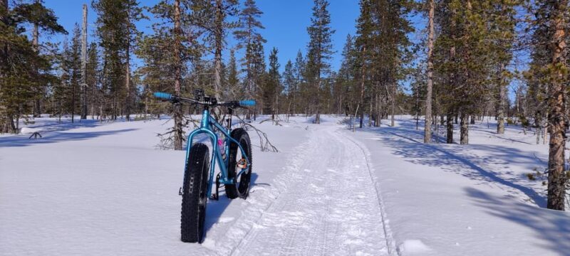 Saariselkä: Guided Fatbike Tour - Final Thoughts