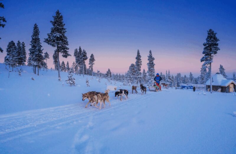 Saariselkä: Husky Safari with Aurora Borealis Hunt - Key Points