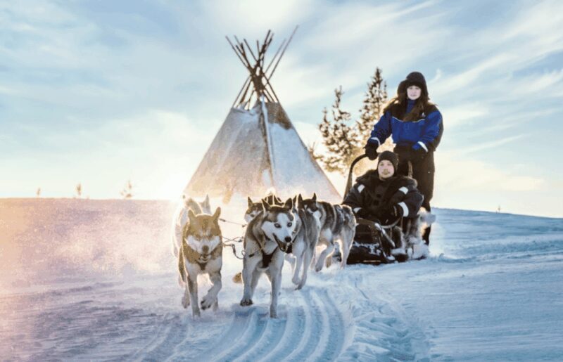 Saariselkä: Husky Safari with Aurora Borealis Hunt - Why This Tour Works Well
