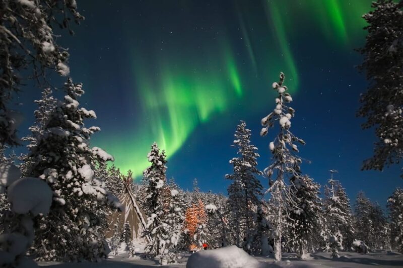 Saariselkä: Northern Lights Hunting Snowshoe Trip - An In-Depth Look at the Experience