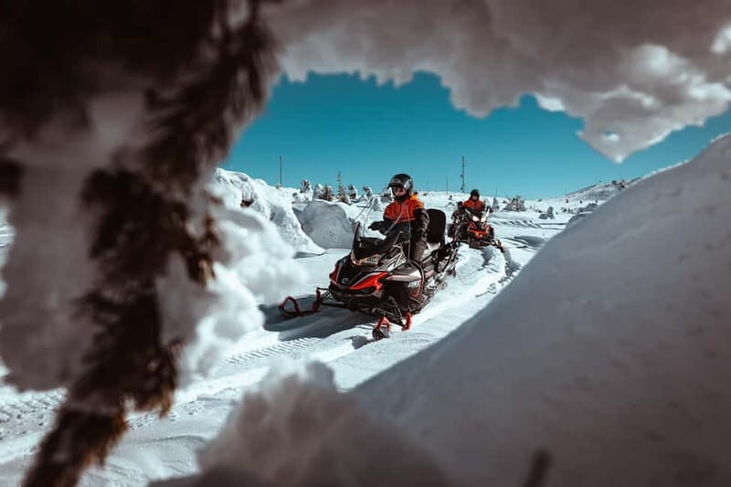 Saariselkä: One Hour Snowmobile Safari - The Sum Up