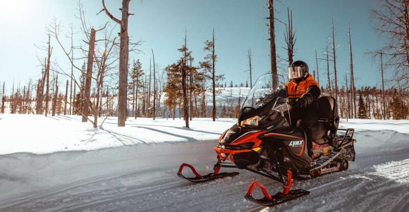 Saariselkä: Snowmobile Adventure for Adults - Who Should Consider This Tour?