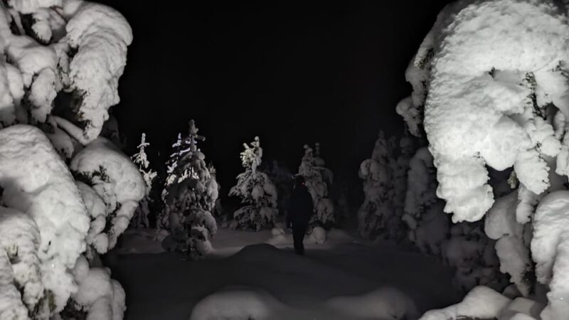 Saariselkä: Snowshoeing Tour in Urho Kekkonen National Park - Key Points