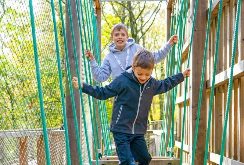 Saarland: Treetop Walk Saarschleife & Lookout Tower - Saarland: Treetop Walk Saarschleife & Lookout Tower — An Authentic Nature Escape