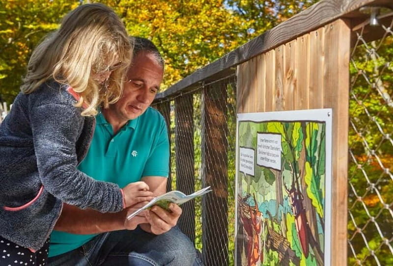 Saarland: Treetop Walk Saarschleife & Lookout Tower - Key Points
