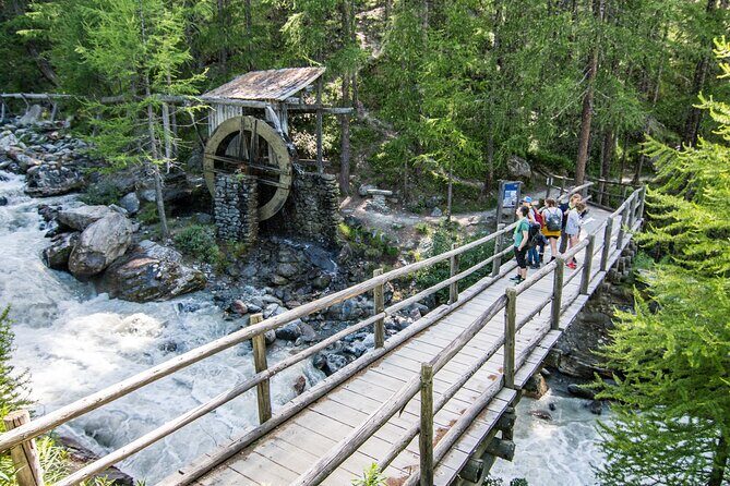 Saas-Fee Foxtrail Allalin - The Cost and Value