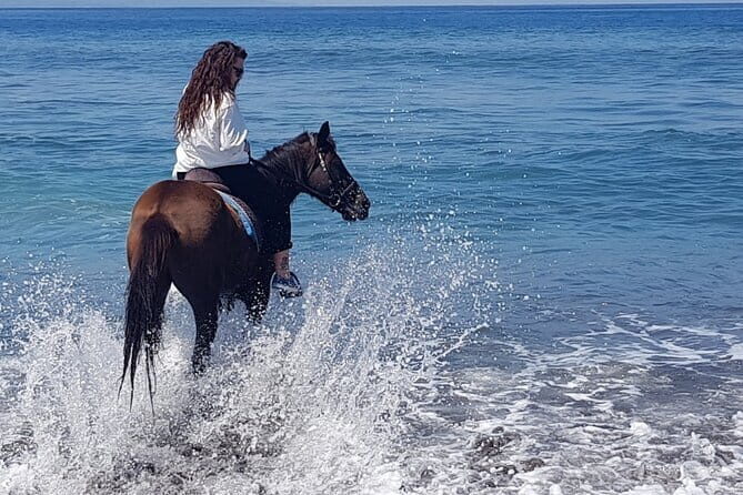 Saba Beach Horse Riding Bali Beach Horse Back Riding - Key Points