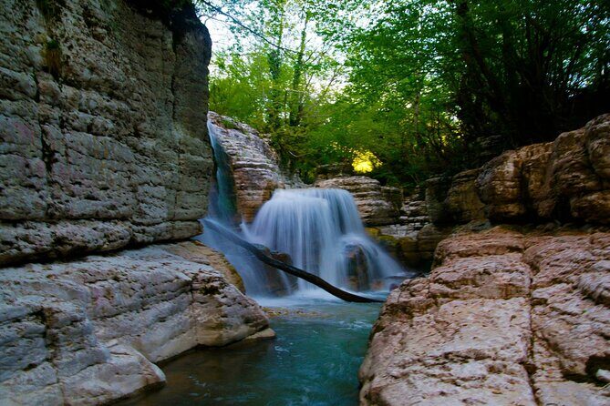 Sabaduri forest, Chronicles of Georgia, wolves and bears Zoo - A Deep Dive into the Itinerary