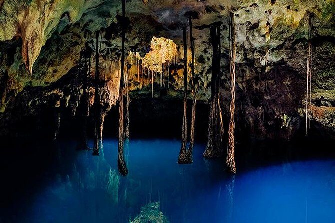 Sacred Adventure at Xenotes! 4 Different Cenotes + Round Transportation - Pricing and Value for Money