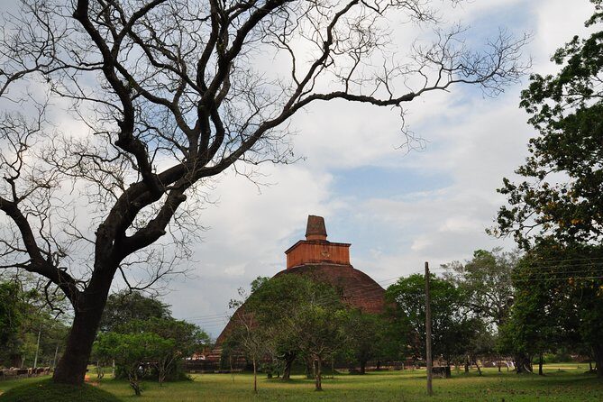 Sacred City of Anuradhapura from Negombo - FAQs
