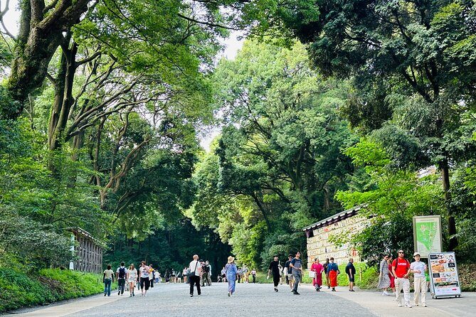 Sacred Morning Walk and Brunch Meiji Shrine - Who Will Love This Tour?