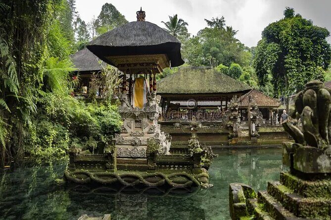 Sacred Places of Bali. Purification Ceremony in Indonesia - The Itinerary: What to Expect at Each Stop