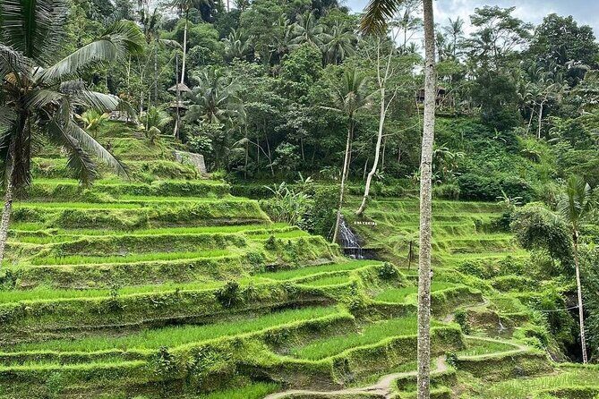Sacred Spring Experience - Ubud Tour - Why This Tour Works Well