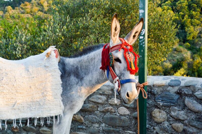 Sacromonte Caves Museum Admission Ticket - Who Will Love This Experience?