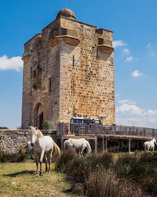 Safari 4x4 in Camargue / VIP Tour 3h30 / Grau du Roi - The Sum Up: The Best of Camargue in a Private Safari