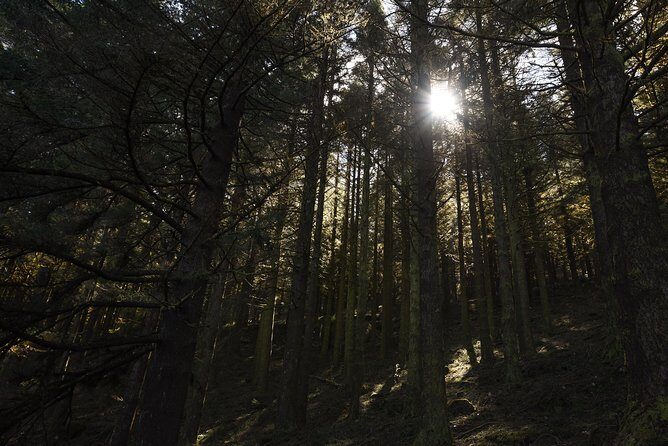 Safari 4x4 Pico Arieiro Santana in Small Group "FlowerEAST" - Final Thoughts