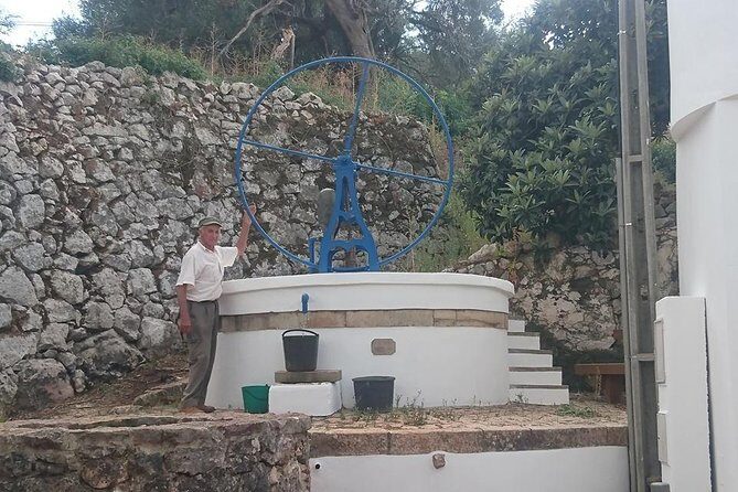 Safari & Boat Tour - Mountains & Dolphins - Key Points