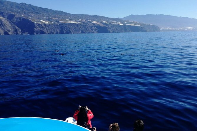 Safari Cumbre Vieja - The Experience on the Boat