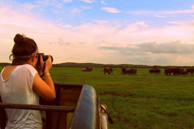 Safari Excursion tour (4 Days, 3 Nights) - Exploring the Itinerary in Detail