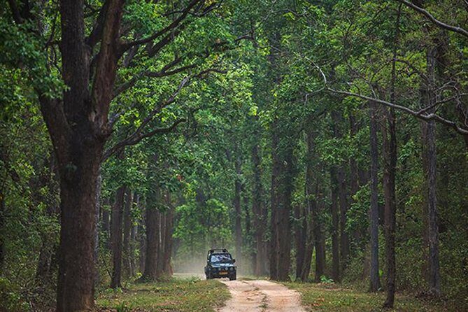 Safari In Jhalana Leopard Conservation Reserve, Jaipur - Final Thoughts