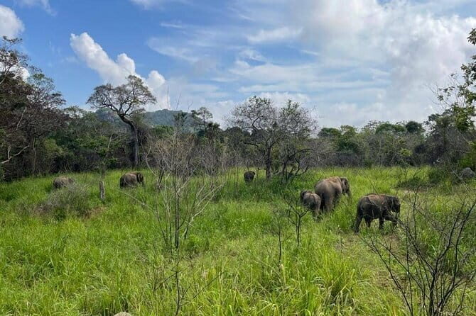 Safari Jeep in Hurulu Eco Park Sri Lanka wit Pigeon Island Tours - Exploring Hurulu Eco Park: A Closer Look