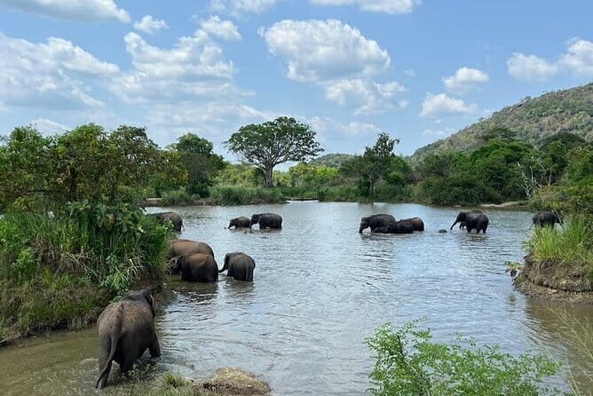 Safari Jeep in Hurulu Eco Park Sri Lanka wit Pigeon Island Tours - Authentic Experiences from Reviewers