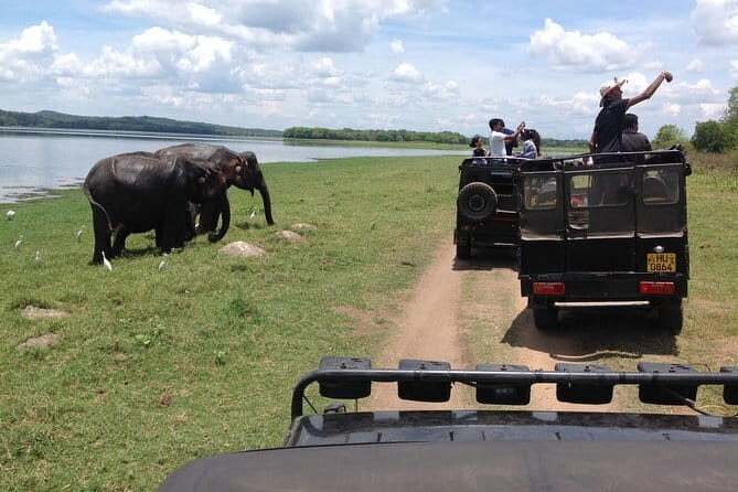 Safari Jeep in Hurulu Eco Park Sri Lanka wit Pigeon Island Tours - FAQs