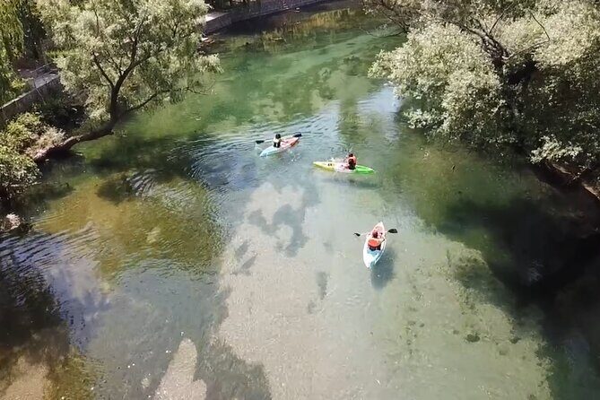 Safari kayak adventure w BBQ & Beer - Final Thoughts: Who Is This Tour Best For?