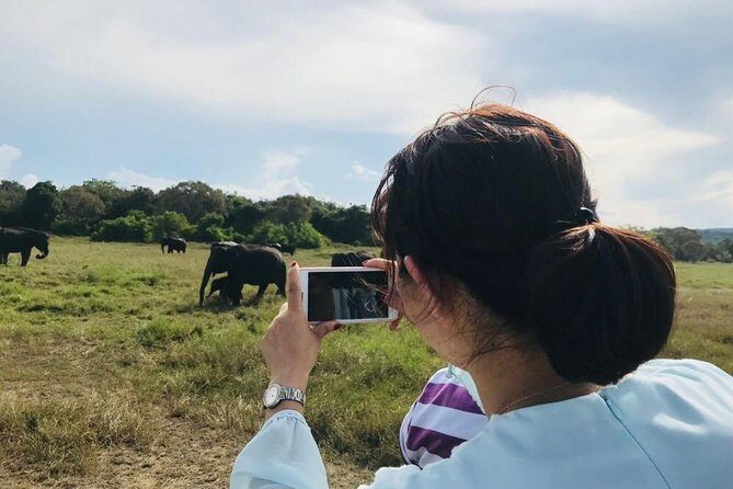 Safari Tour at Minneriya National Park - The Authenticity and Value of the Tour