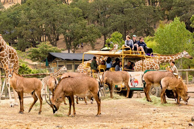 Safari West Sonoma Adventure Tour - FAQs