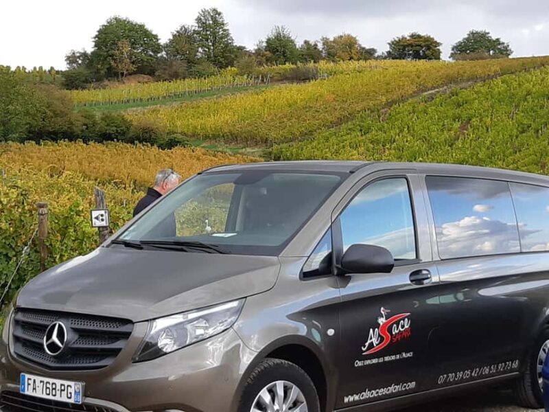 Safari Wine Villages & Wine tasting - A Charming Journey Through Alsace’s Wine Villages and Vineyards