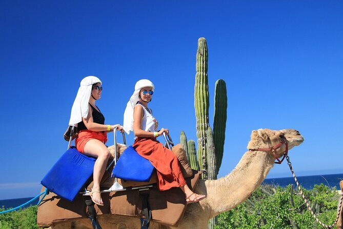 Safari with Camel Caravan to Explore Bajas Nature, Culture and Cuisine - Food, Drink, and Cultural Insights