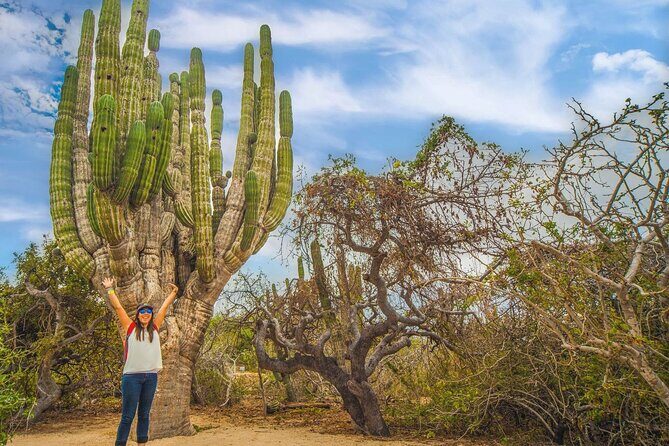 Safari with Camel Caravan to Explore Bajas Nature, Culture and Cuisine - What’s Not Included