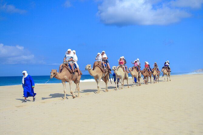 Safari with Camel Caravan to Explore Bajas Nature, Culture and Cuisine - Is It Worth It?