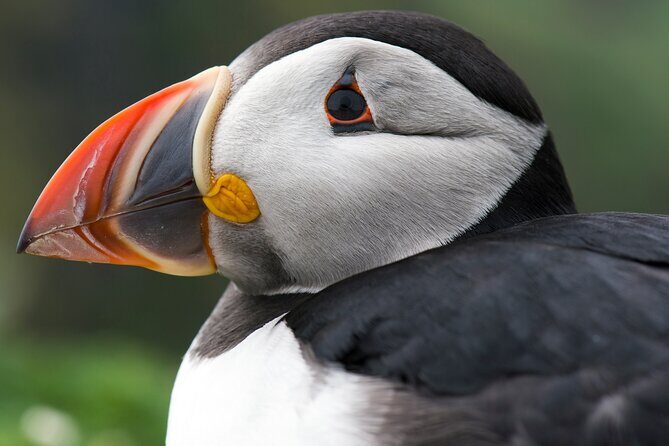 Safe Ride for Travellers to Edmonton - A Closer Look at Safe Ride for Travellers to Edmonton