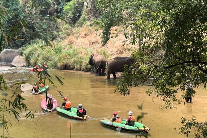 Safety whitewater rafting, Kayak, Quad bike , Trekking in Chiangmai - Key Points