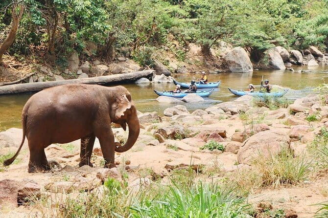 Safety whitewater rafting, Kayak, Quad bike , Trekking in Chiangmai - The Sum Up