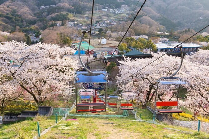 Sagamiko Resort Pleasure Forest Ticket and Ride Pass - Who Will Love This Experience?