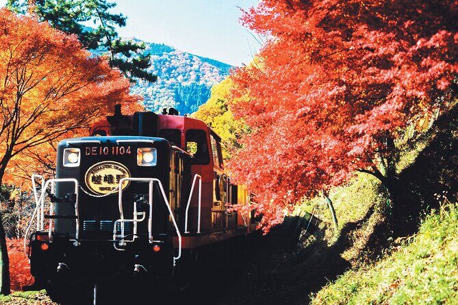 Sagano Romantic Train & Arashiyama, Kiyomizudera, Fushimi Inari Taisha Day Tour - A Deep Dive into the Kyoto Day Trip from Osaka