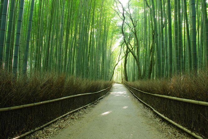 Sagano Romantic Train & Arashiyama, Kiyomizudera, Fushimi Inari Taisha Day Tour - What Does This Tour Mean for You?