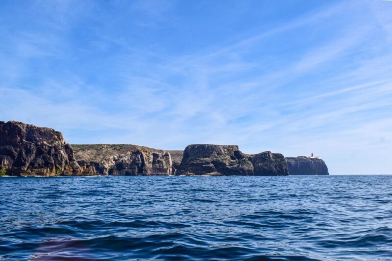 Sagres: Wildlife Tour Dolphins and Caves - An In-Depth Look at the Tour Experience