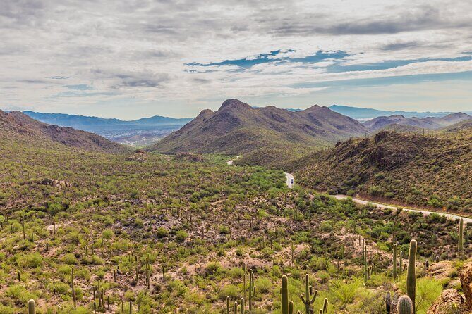 Saguaro National Park Self-Guided Audio Tour - Authentic Experiences from Reviews