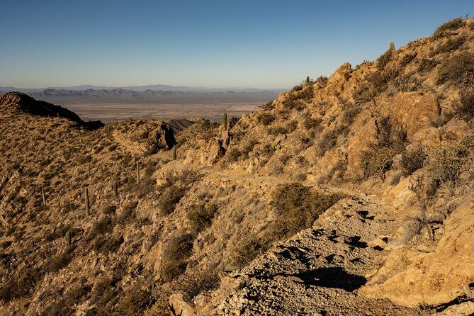 Saguaro NP and Mt. Lemmon Self Guided Driving Audio Tour Bundle - Final Thoughts