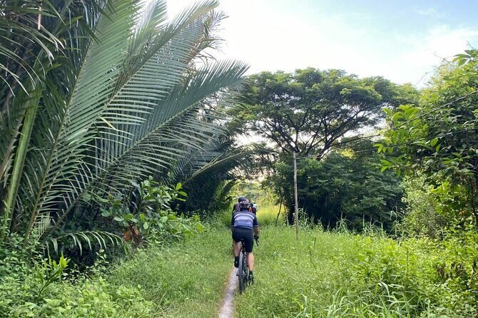 Saigon Countryside Cycling Adventure - What to Expect from the Saigon Countryside Cycling Adventure