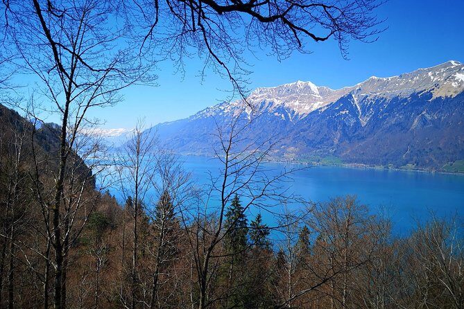 Sail to Basel and then explore either Bern, Luzern, Zurich or the Swiss Alps. - Final Thoughts