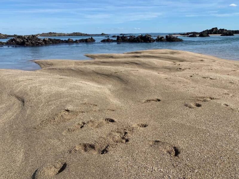 Sail to the heart of the bay. - Key Points