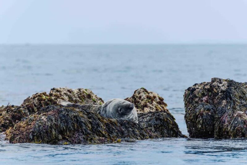 Sail to the heart of the bay. - Final Thoughts: Is It Worth It?