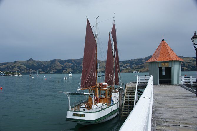 Sailing and Wildlife Tour Akaroa Fox II Sailing - The Sum Up